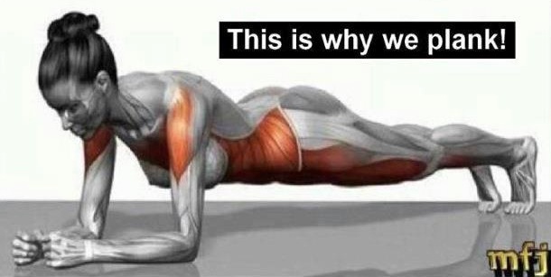 this-is-why-we-do-plank.jpg